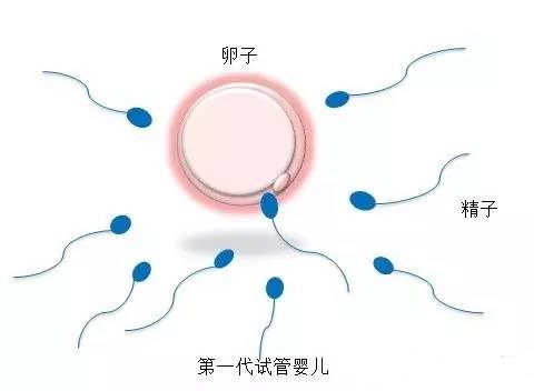 林医生
